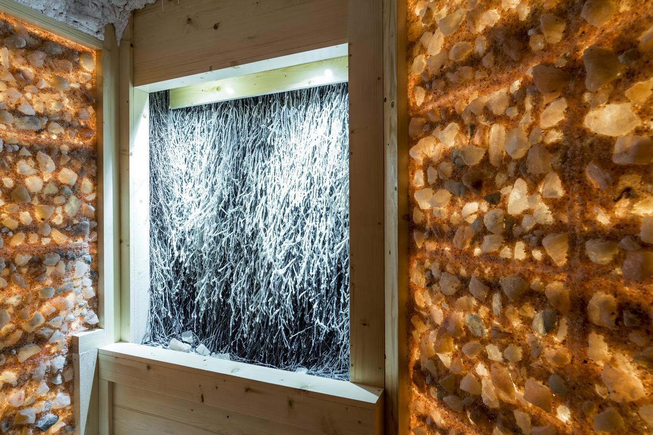Hotel Willa Wiosenna Ozarów Mazowiecki Exteriér fotografie